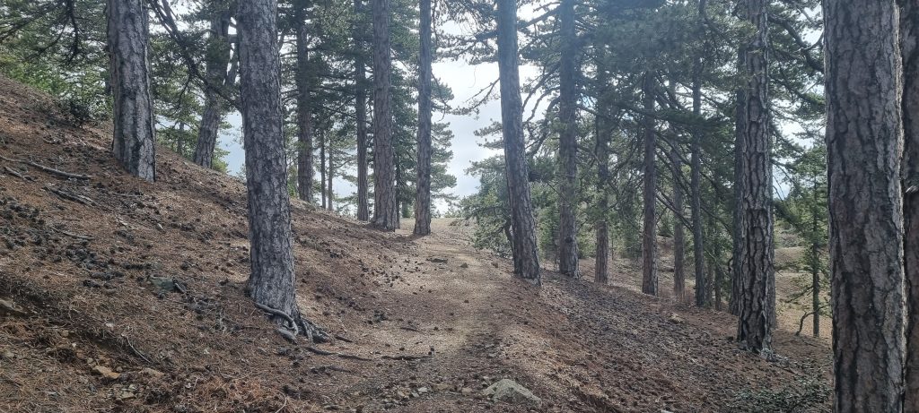Camino Atalanti, Monte Olympos